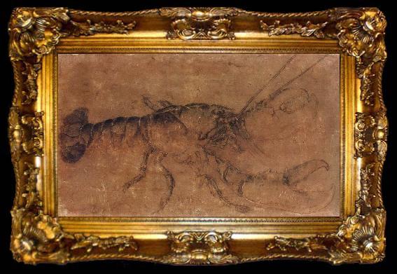 framed  Albrecht Durer A Lobster, ta009-2